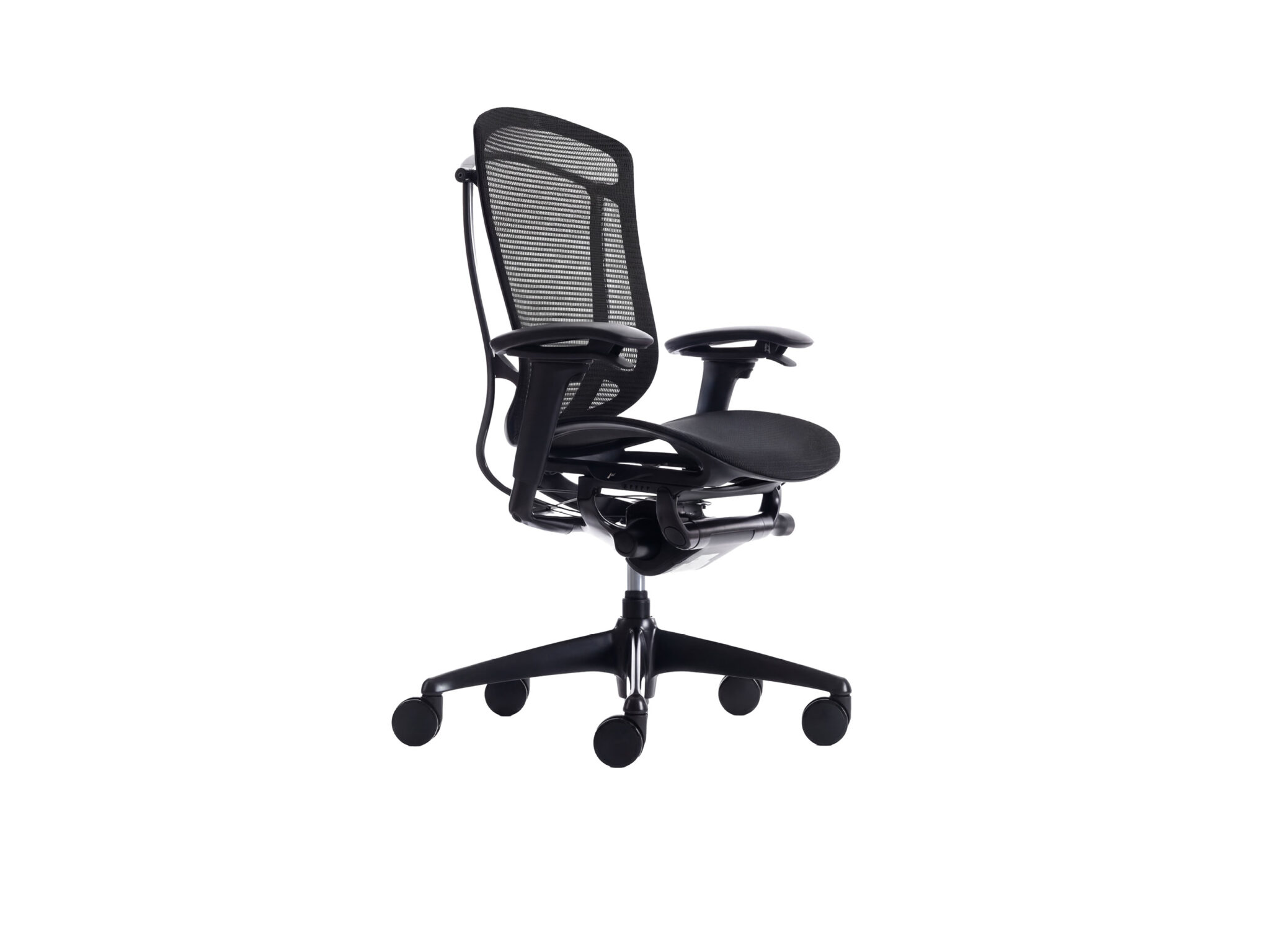Contessa II - www.bossdesign.com